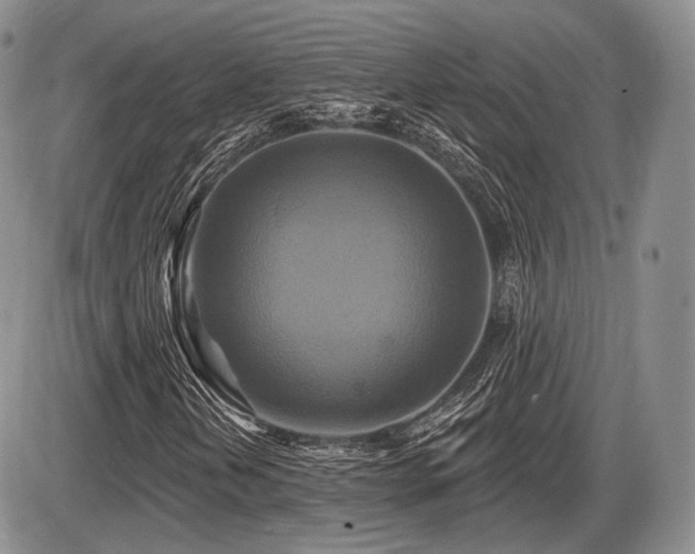 X0000086021202200703231137