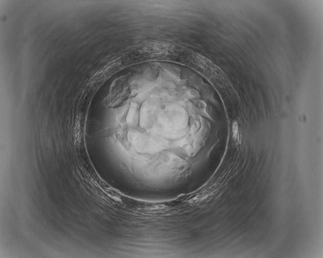 X0000086021203200703231137