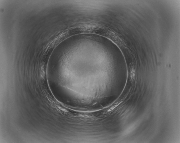 X0000086021204200703231137