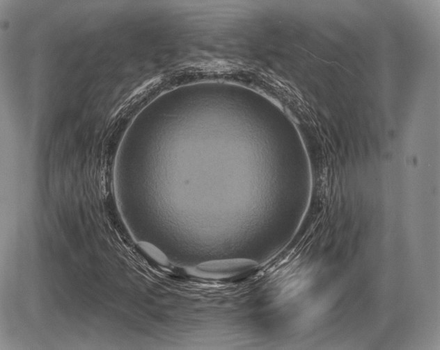 X0000086021205200703231137