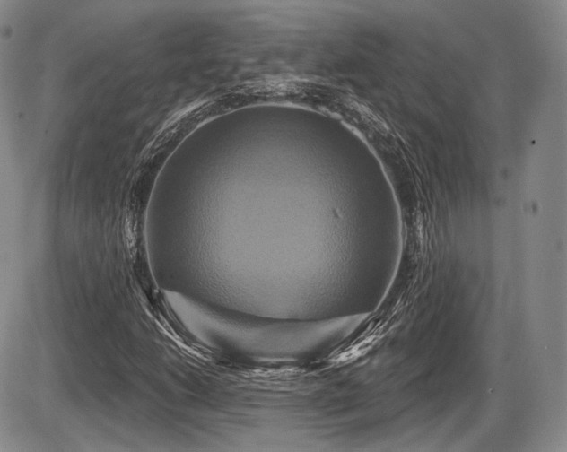 X0000086021206200703231137