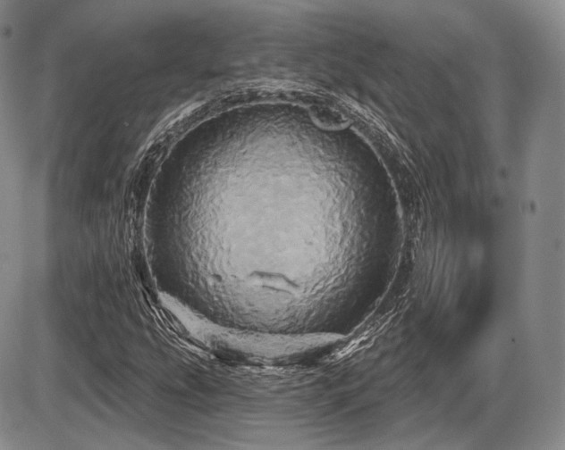 X0000086021207200703231137