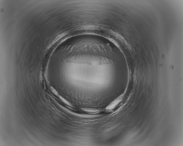X0000086021209200703231137