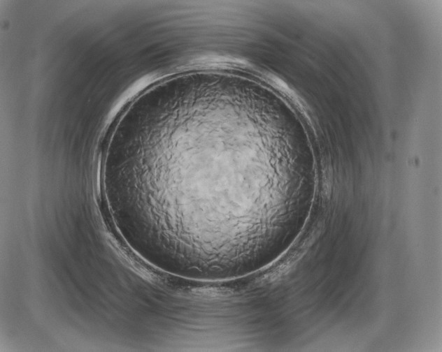 X0000086021227200703231137