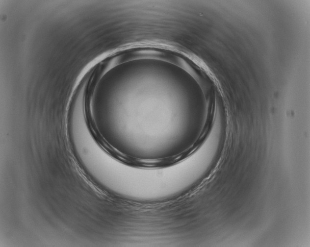 X0000086021230200703231137