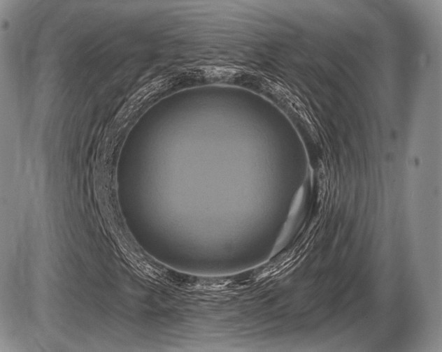 X0000086021249200703231137