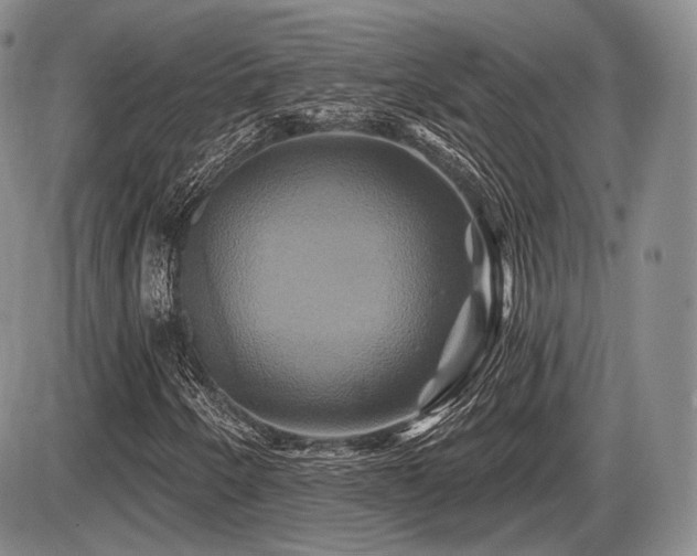 X0000086021250200703231137