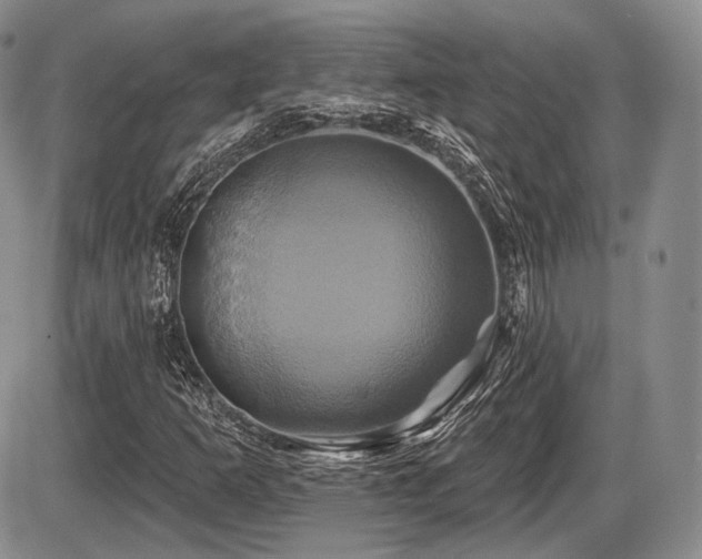 X0000086021253200703231137