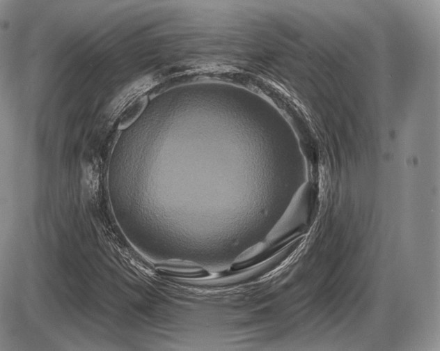X0000086021257200703231137