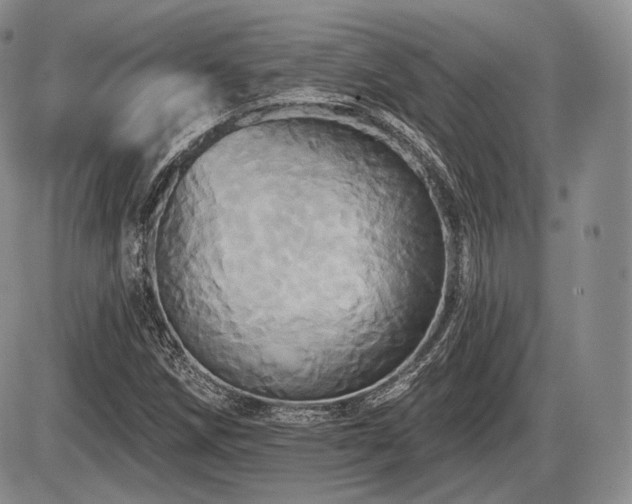 X0000086021258200703231137