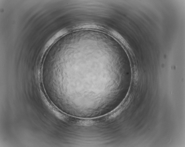 X0000086021282200703231136