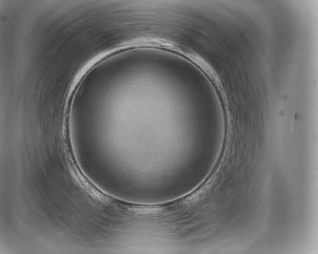X0000086021296200703231136