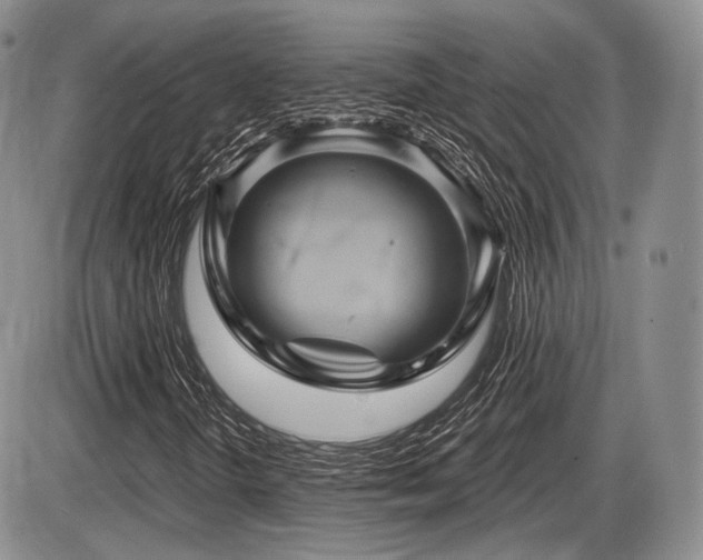 X0000086021298200703231135