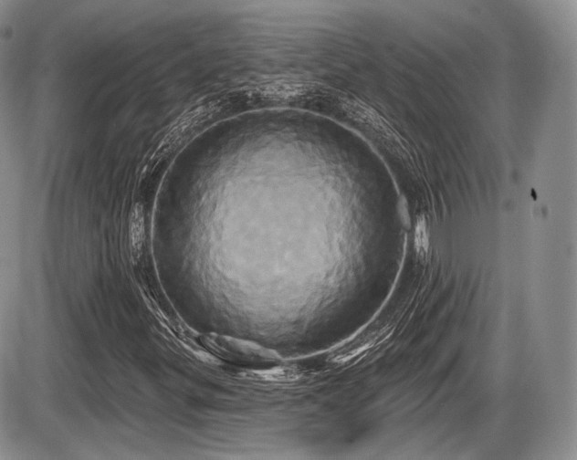 X0000086021299200703231135