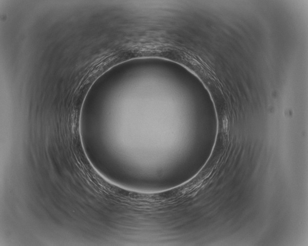 X0000086021300200703231135