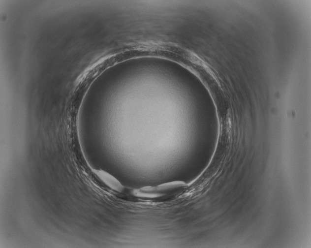 X0000086021304200703231136