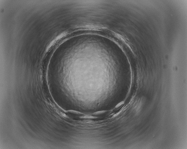 X0000086021307200703231136