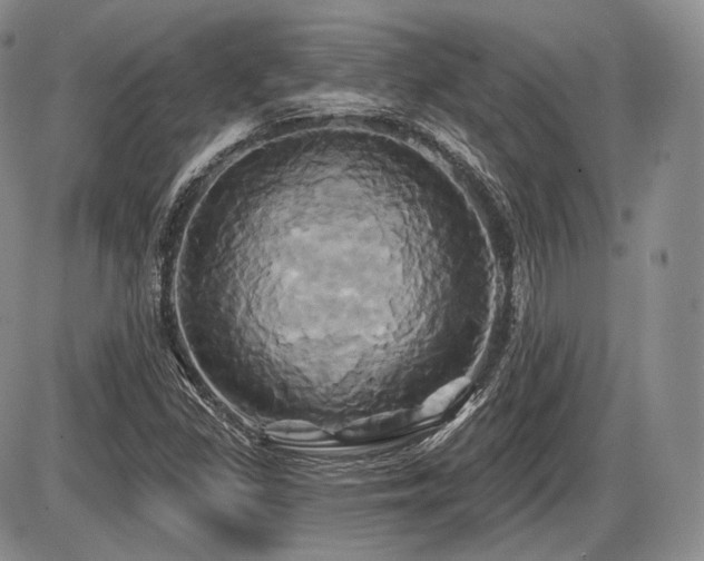 X0000086021309200703231136