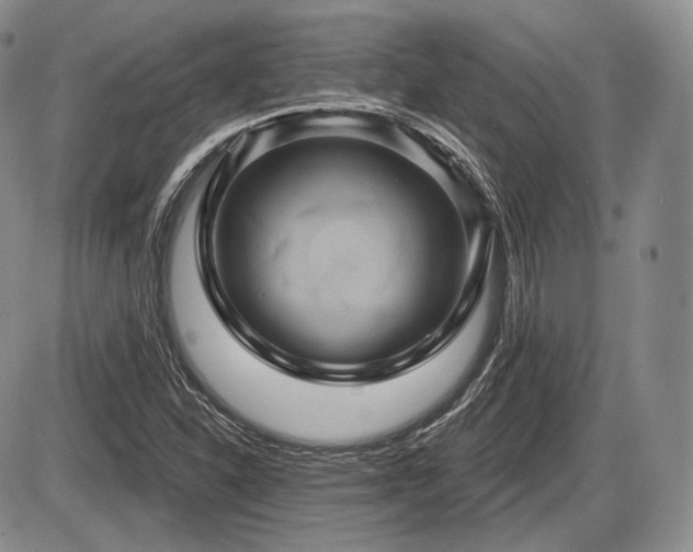X0000086021310200703231136