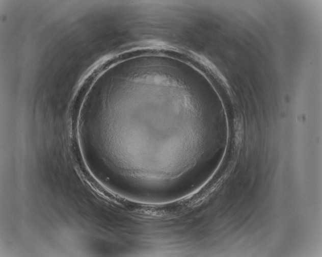 X0000086021318200703231136
