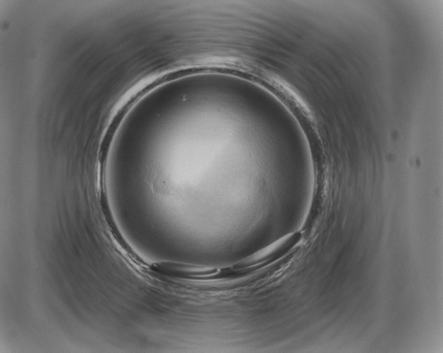 X0000086021324200703231136