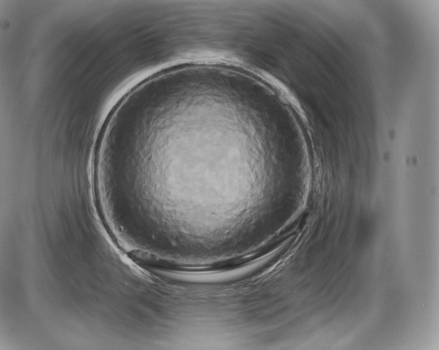 X0000086021343200703231136