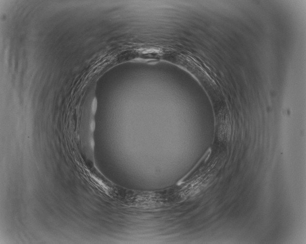 X0000086021345200703231135
