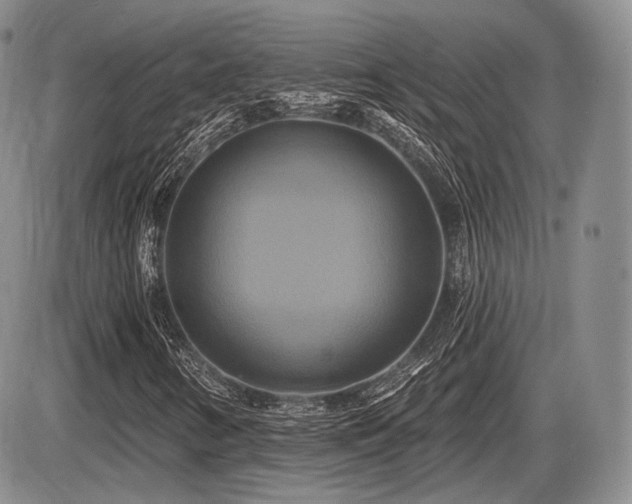 X0000086021346200703231135