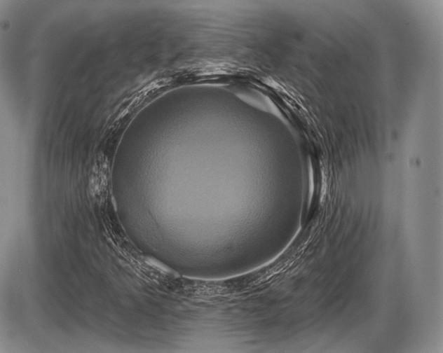 X0000086021349200703231135
