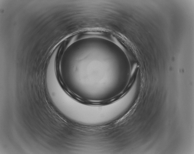 X0000086021361200703231135