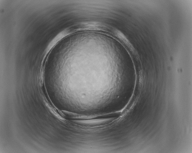 X0000086021370200703231135