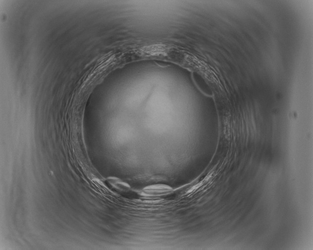 X0000086021393200703231134