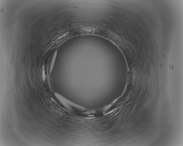 X0000086021394200703231134