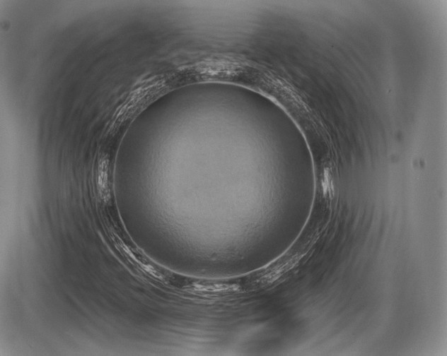X0000086021396200703231134