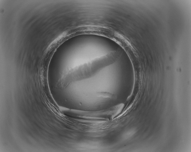 X0000086021403200703231134