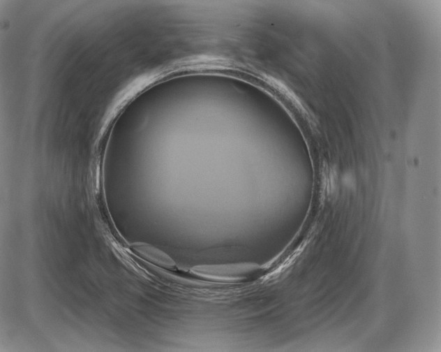 X0000086021413200703231134