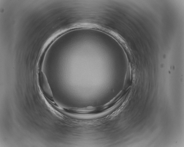 X0000086021430200703231134
