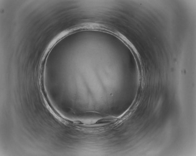 X0000086021437200703231135