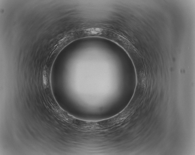 X0000086021442200703231134