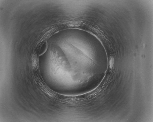 X0000086021444200703231134