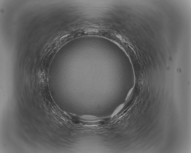 X0000086021445200703231134