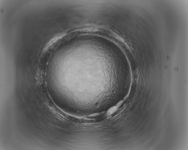 X0000086021448200703231134