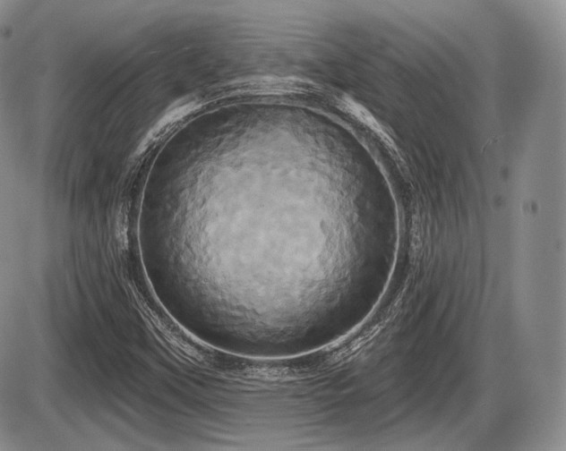 X0000086021451200703231134