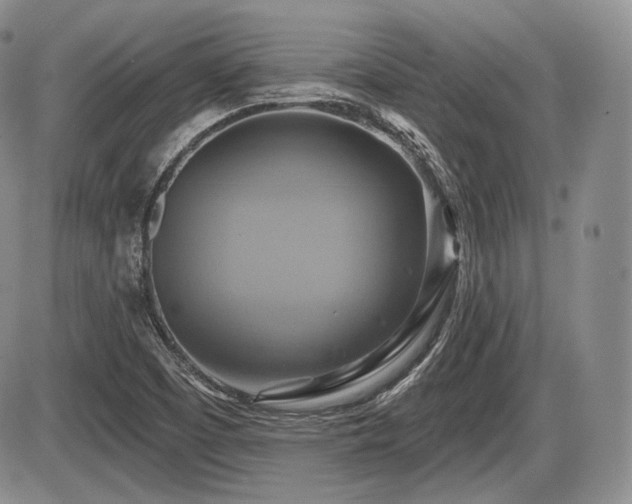 X0000086021457200703231134