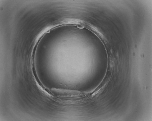 X0000086021471200703231133