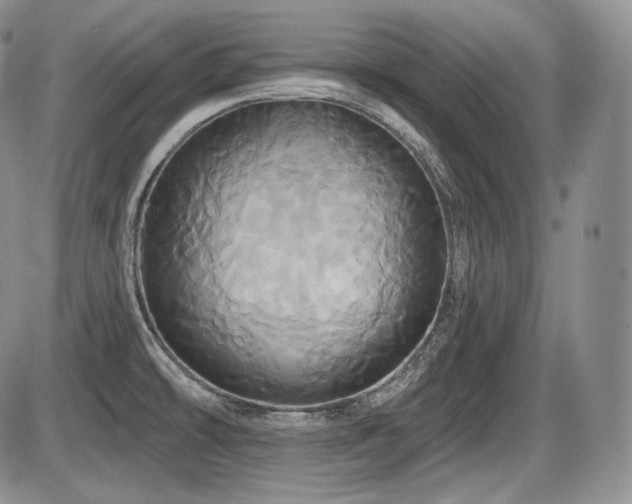 X0000086021478200703231133
