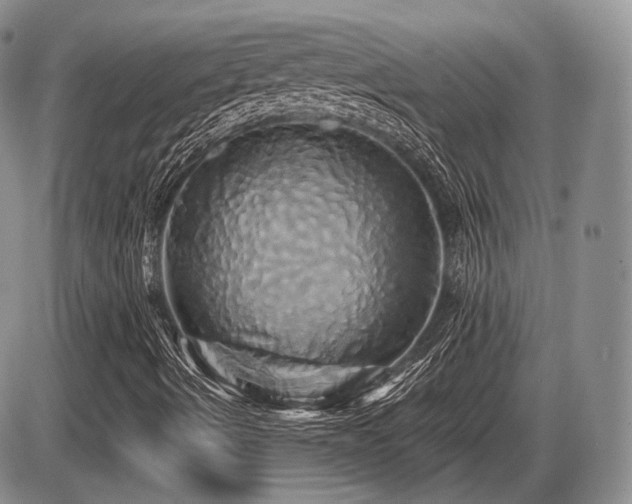 X0000086021490200703231132