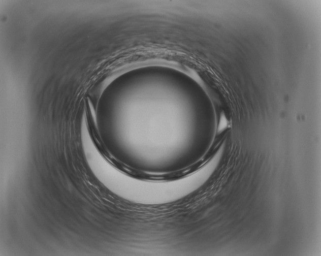 X0000086021492200703231132