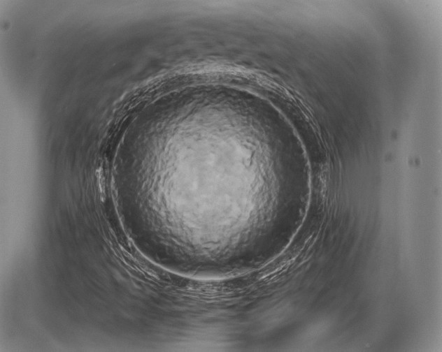X0000086021493200703231132
