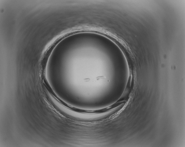 X0000086021502200703231132